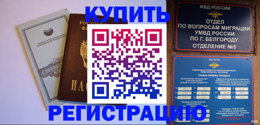 временная прописка в Кандалакше
